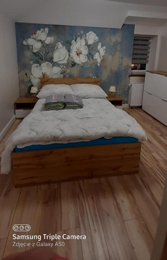 Apartamenty U Iwony Centrum Miasta Blisko Parku Zdrojowego Kudowa-Zdrój Eksteriør bilde